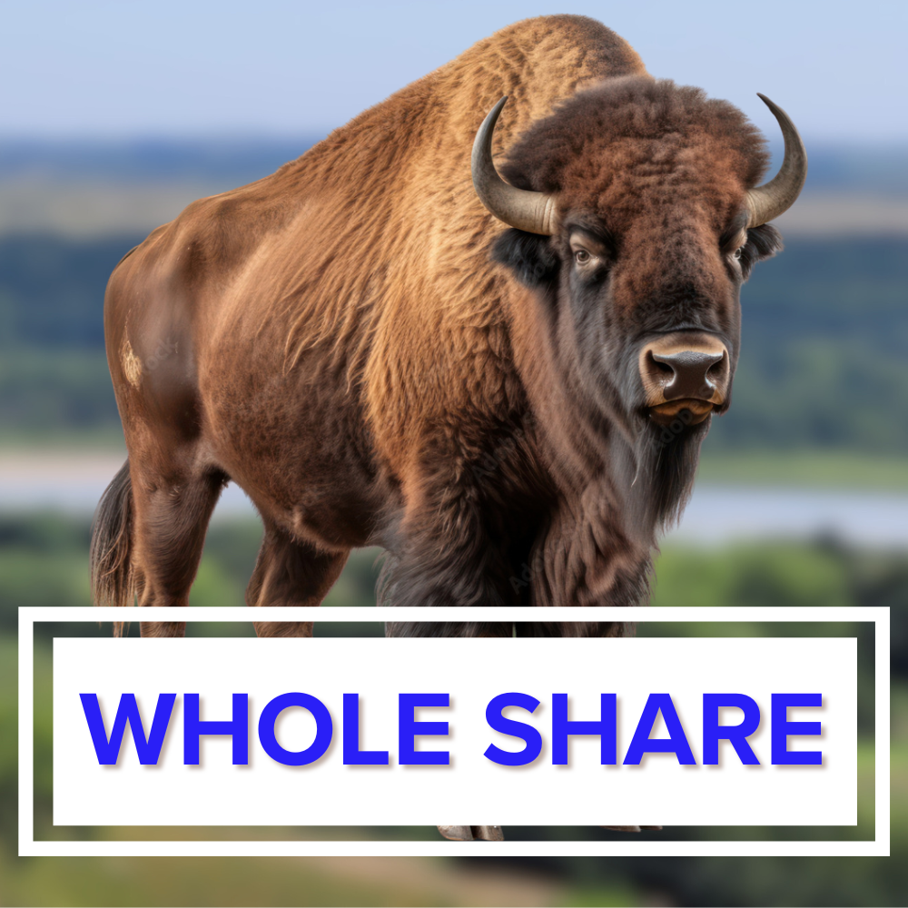 Whole Bison