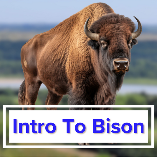 Intro to Bison